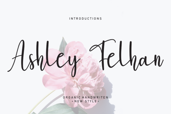 Ashley Felhan: The Playful Script Font for Creative Editorial Design