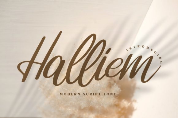 Halliem Font: A Romantic Touch for Real Business Branding