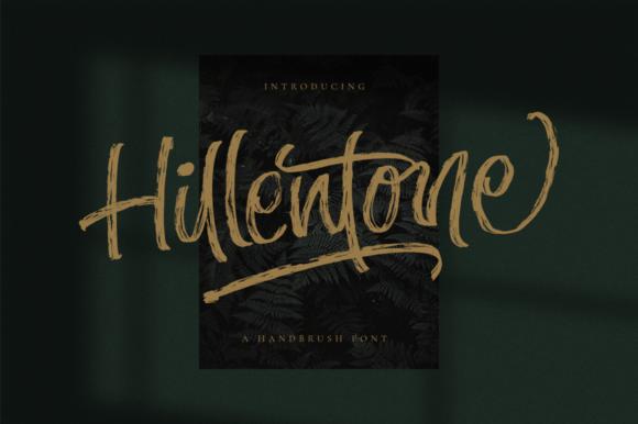 Hillentone Script Font for Instagram and Creative Branding