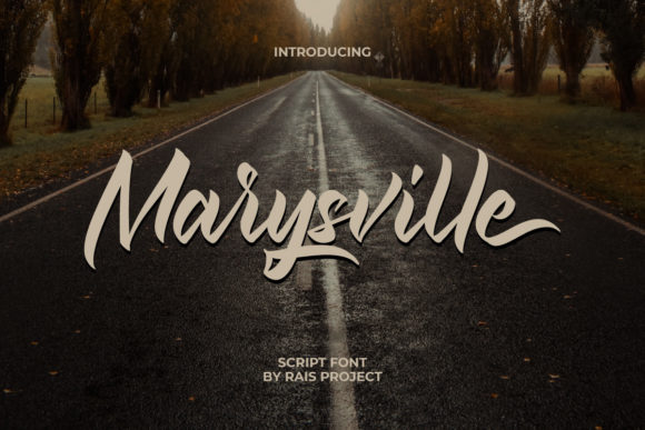 Marysville Font Review: A Designer’s Take on This Elegant Script Typeface